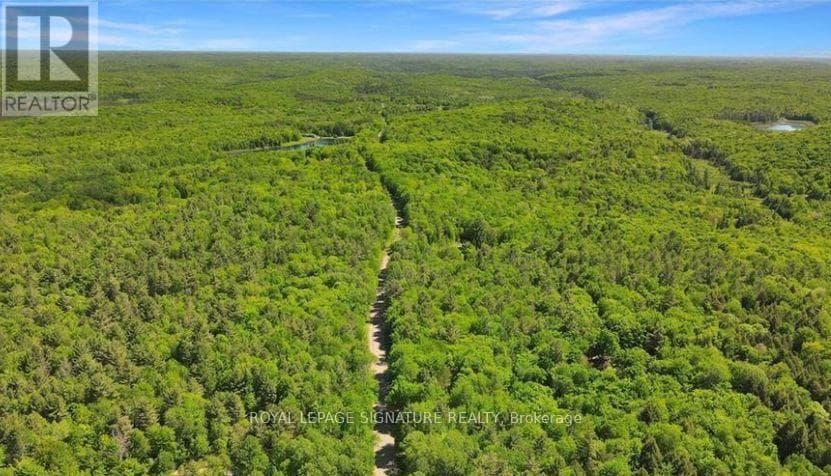0 BOBCAYGEON ROAD photo 5