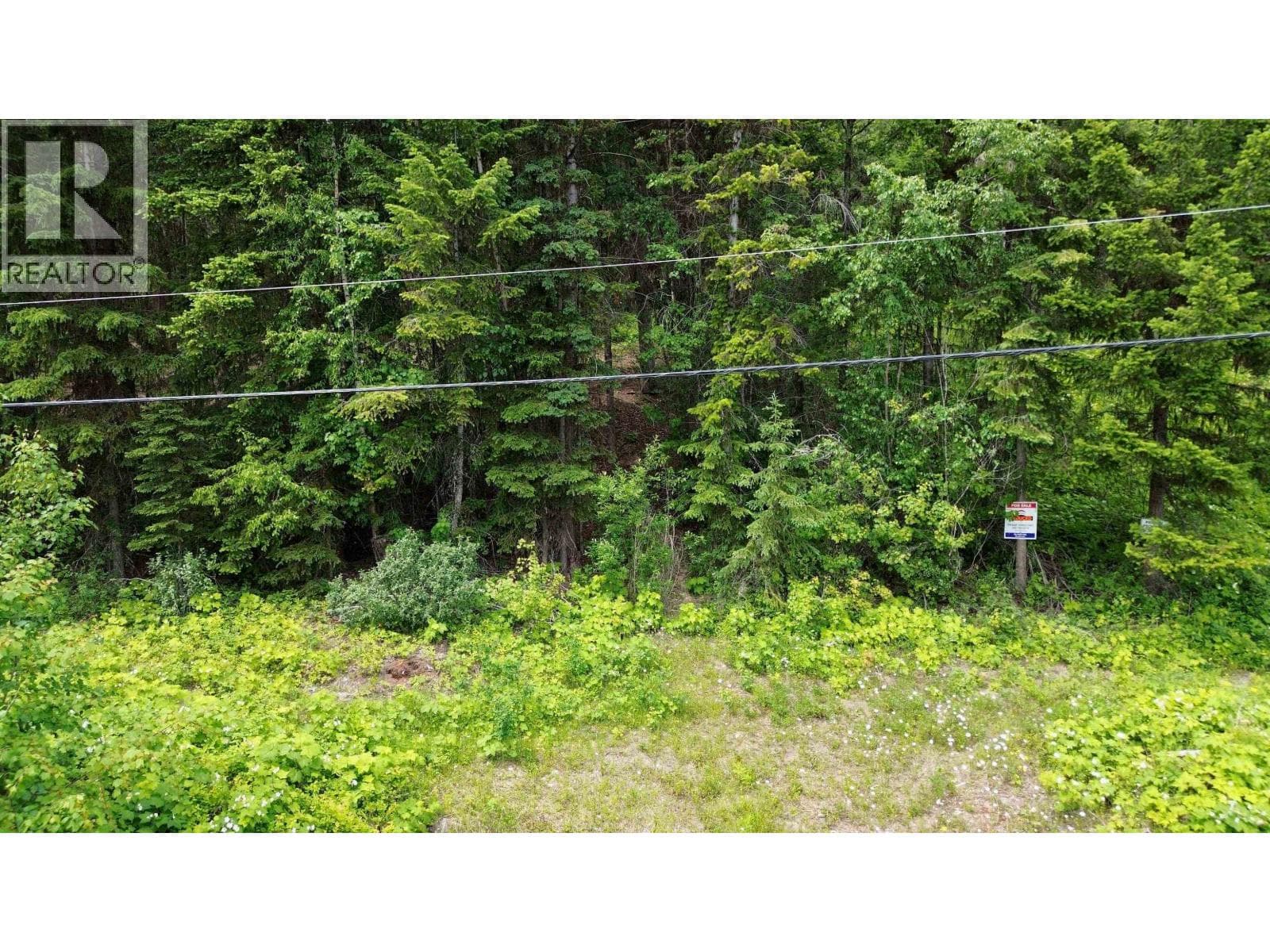 LOT A CANIM-HENDRIX LAKE ROAD photo 3