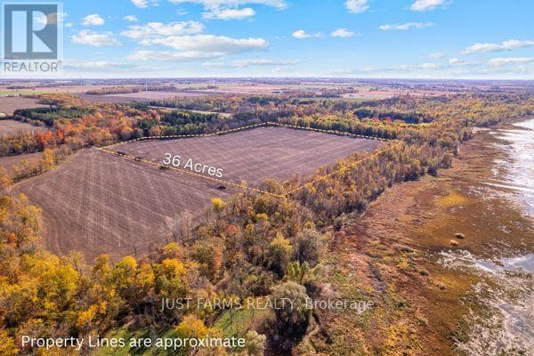6646 LAKESHORE ROAD photo 3