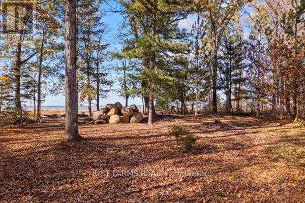 6646 LAKESHORE ROAD photo 4