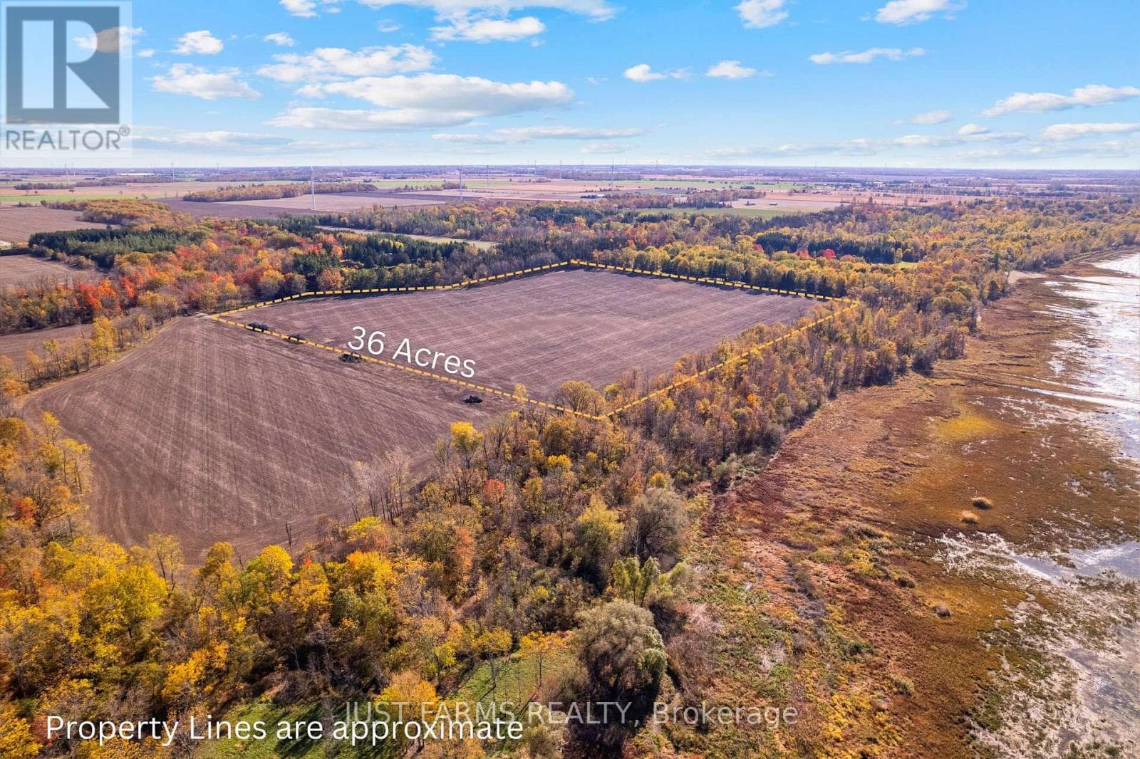 6646 LAKESHORE ROAD photo 4