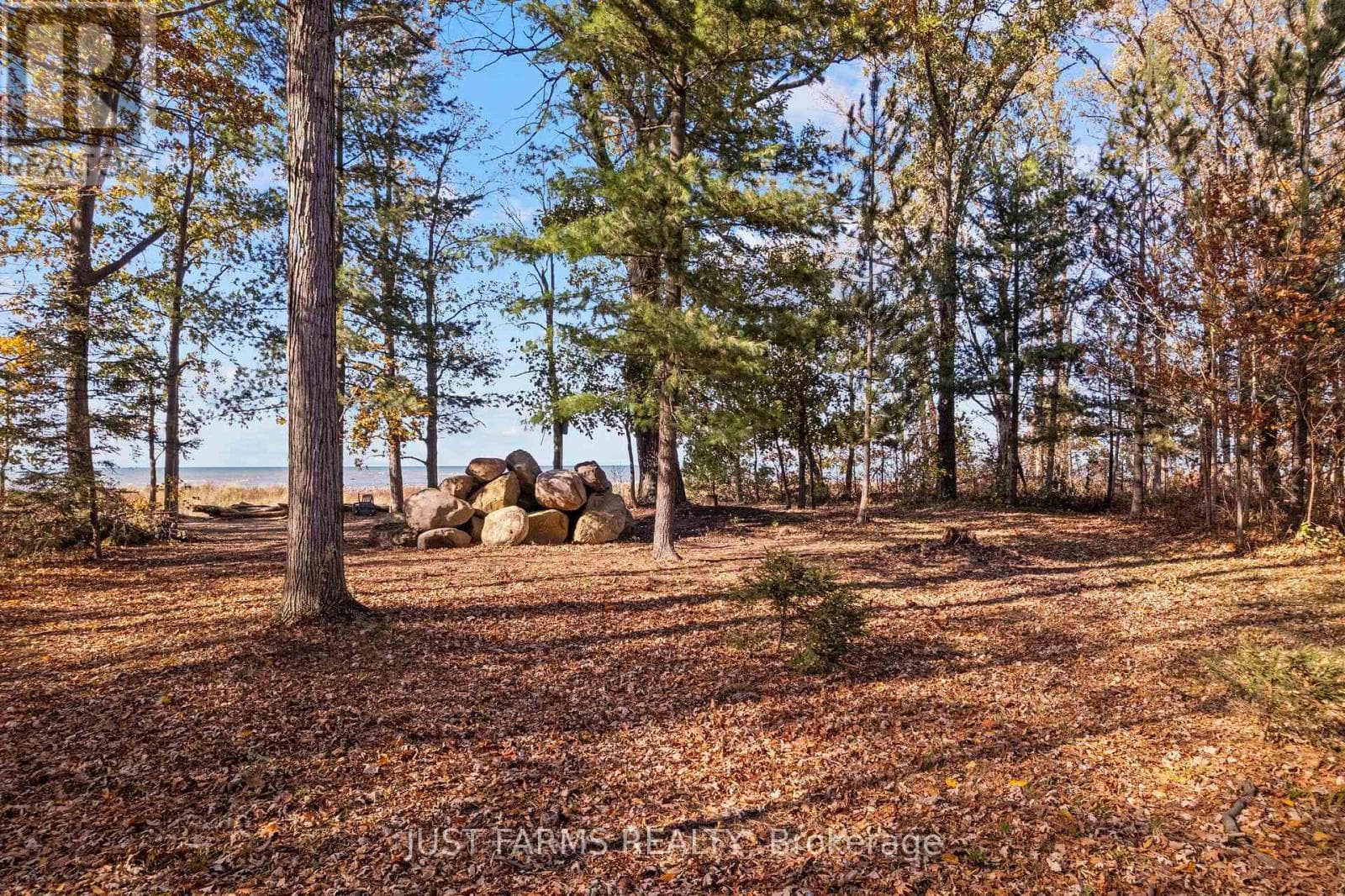 6646 LAKESHORE ROAD photo 5