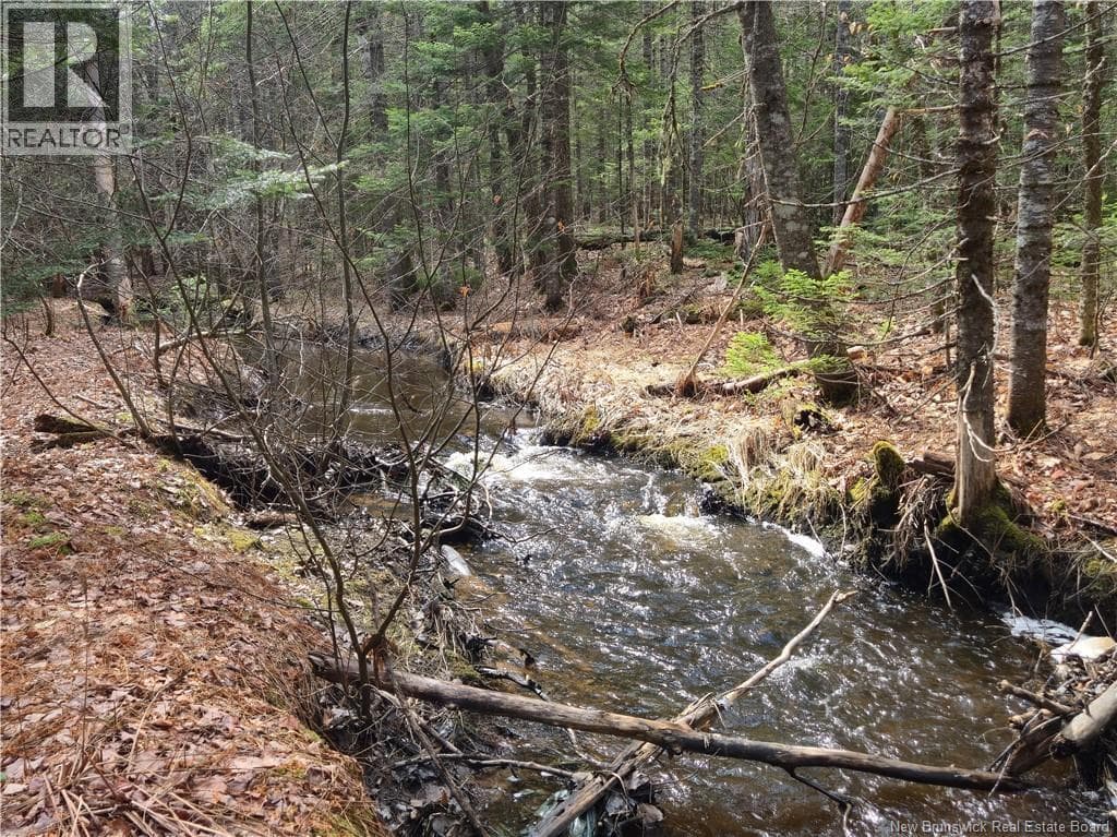 LOT 25-1 Niagara Road photo 2