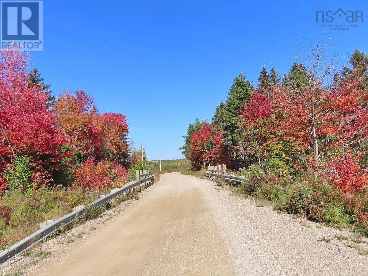 62 Acres West Side Road photo 5